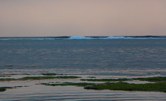 bg16