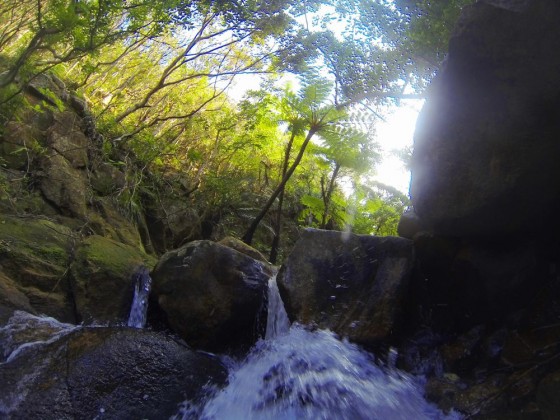 DCIM100GOPRO