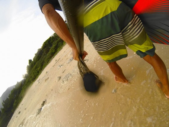 DCIM100GOPRO