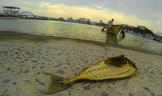 DCIM100GOPRO