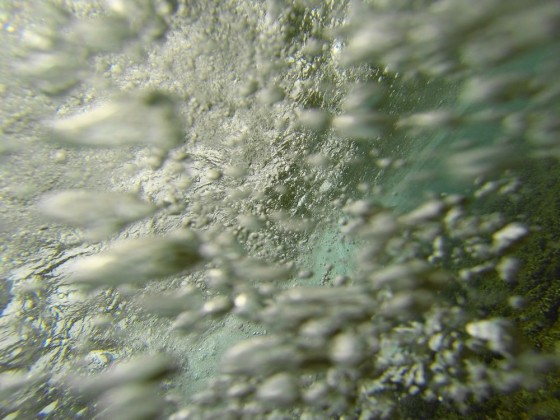 DCIM100GOPRO